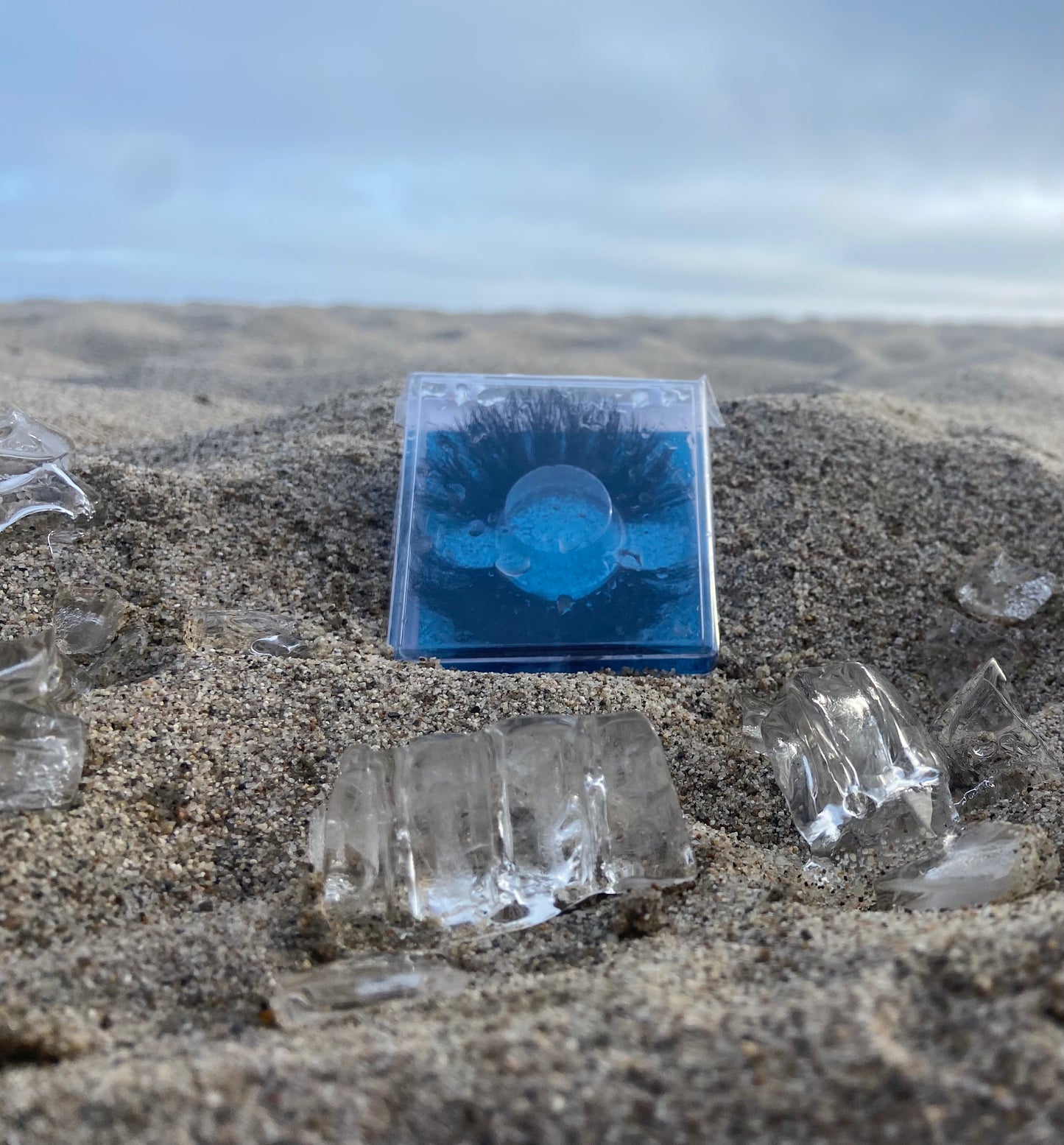 Icy